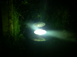 The moth trap. Moths attracted to the light get trapped in the cone underneath.